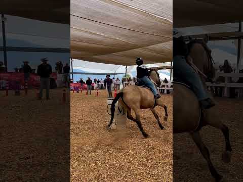 1er Torneo Habilidades Ecuestres