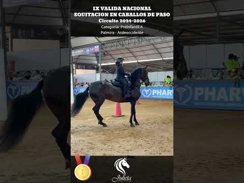 IX Valida Nacional Caballos de Paso | Oro | Palmira | Julieta Suarez Erazo | PreInfantil A